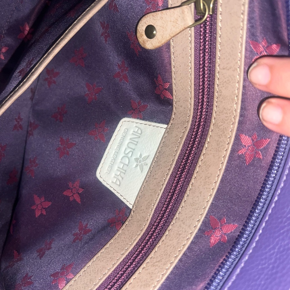 Anuschka Bag